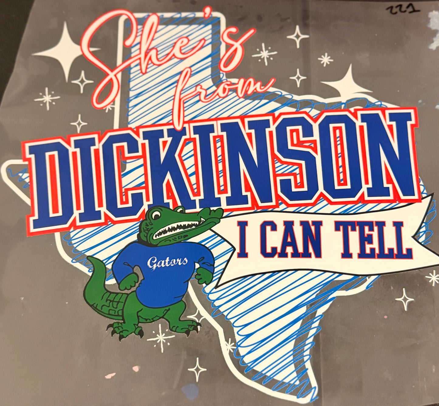 DESTASH - 221 - YOUTH - SHE'S FROM DICKINSON I CAN TELL