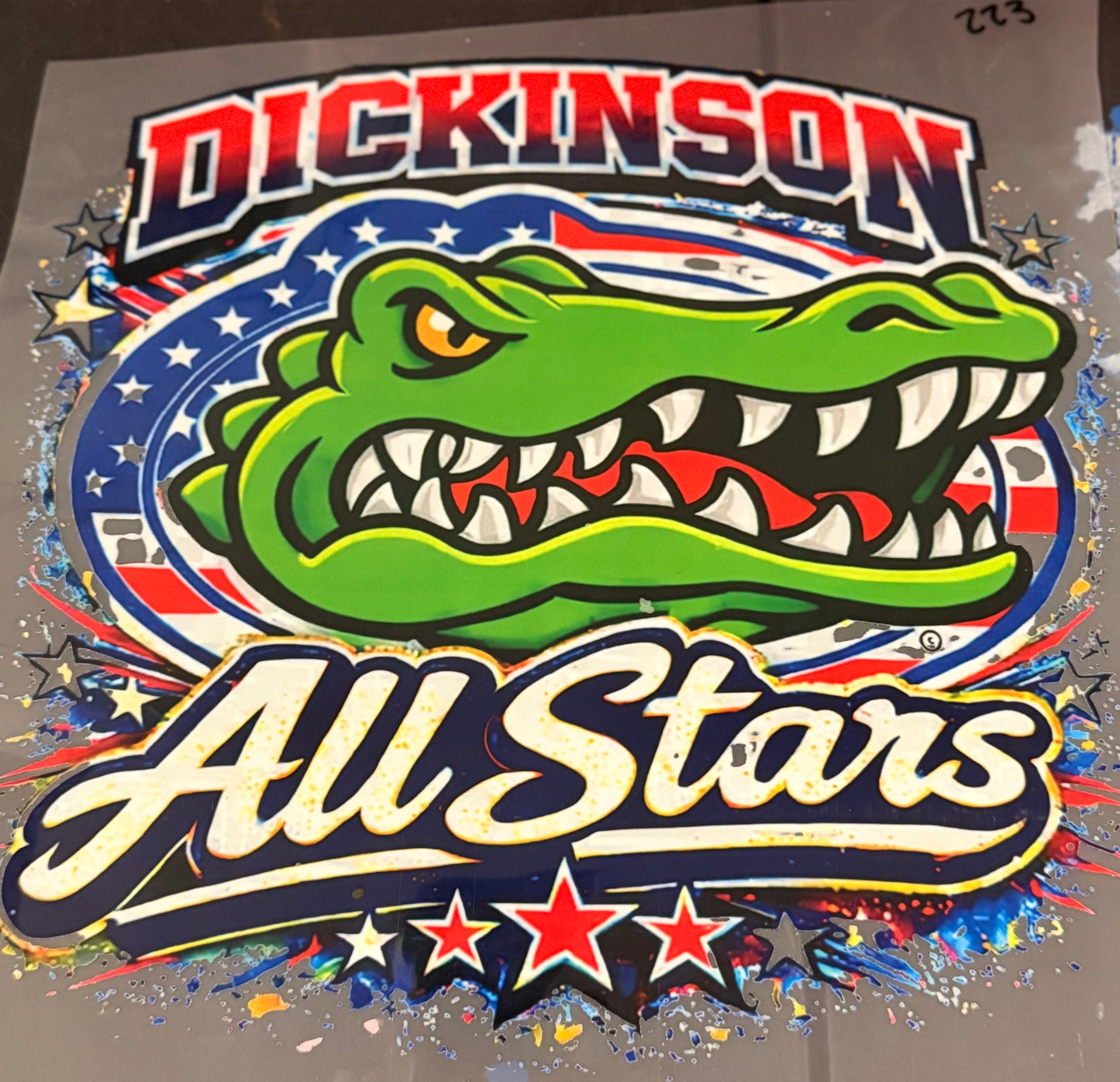 DESTASH - 223 - DICKINSON ALL STARS