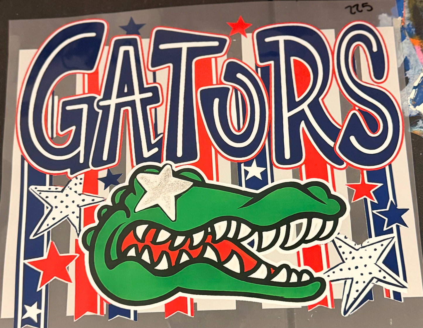 DESTASH - 225 - YOUTH - STARS AND STRIPES/GATORS