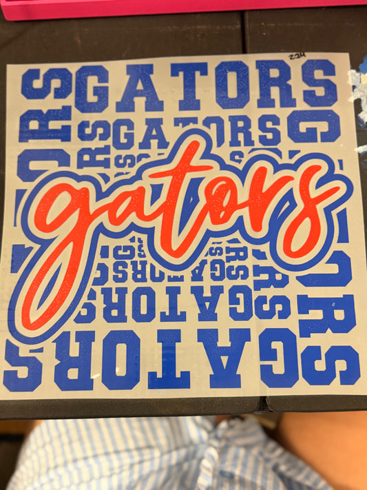 DESTASH - 214 - YOUTH - GATORS